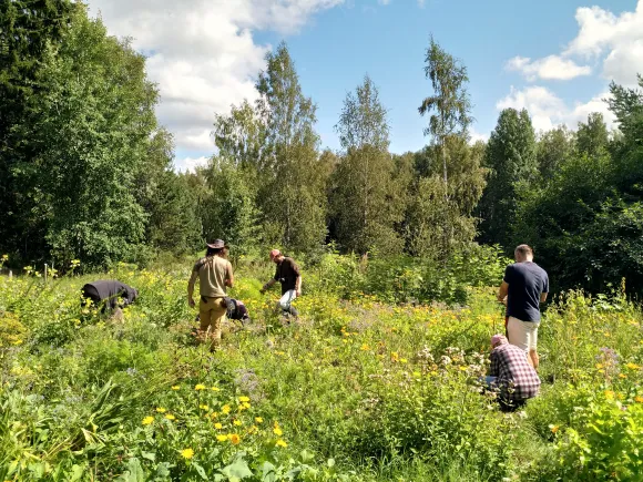 People working in the garden