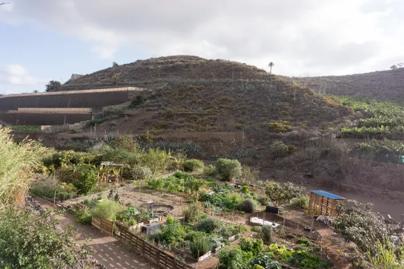 Garden at Beyond Buckthorns